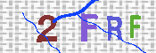 キャプチャ画像