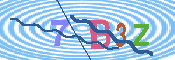 キャプチャ画像