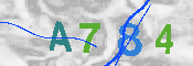 キャプチャ画像