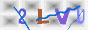 キャプチャ画像