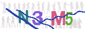 キャプチャ画像
