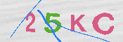 キャプチャ画像