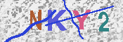 キャプチャ画像