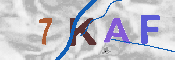 キャプチャ画像