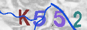 キャプチャ画像