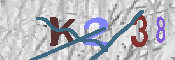 キャプチャ画像