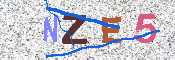 キャプチャ画像