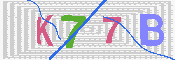 キャプチャ画像