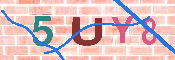 キャプチャ画像