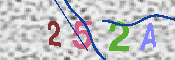 キャプチャ画像