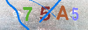 キャプチャ画像
