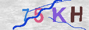 キャプチャ画像