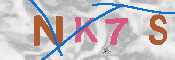 キャプチャ画像