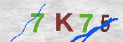 キャプチャ画像