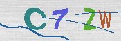 キャプチャ画像