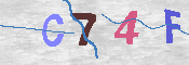 キャプチャ画像