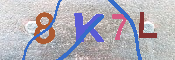 キャプチャ画像