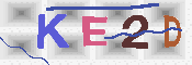 キャプチャ画像