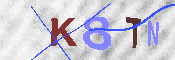 キャプチャ画像