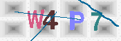 キャプチャ画像