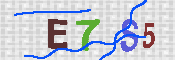 キャプチャ画像