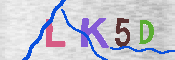 キャプチャ画像