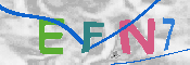 キャプチャ画像