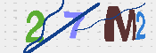 キャプチャ画像