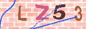 キャプチャ画像