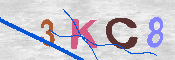 キャプチャ画像
