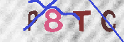 キャプチャ画像