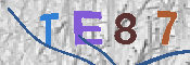 キャプチャ画像