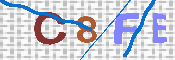 キャプチャ画像
