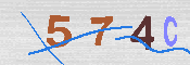 キャプチャ画像