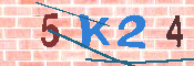 キャプチャ画像