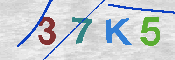 キャプチャ画像