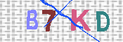 キャプチャ画像