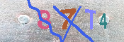 キャプチャ画像