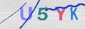 キャプチャ画像