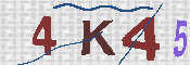 キャプチャ画像