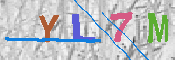 キャプチャ画像