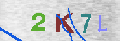 キャプチャ画像