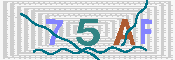 キャプチャ画像