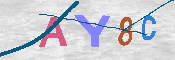 キャプチャ画像