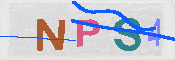キャプチャ画像