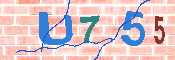 キャプチャ画像