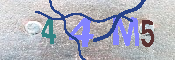 キャプチャ画像