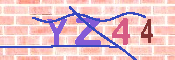 キャプチャ画像