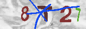キャプチャ画像