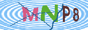 キャプチャ画像